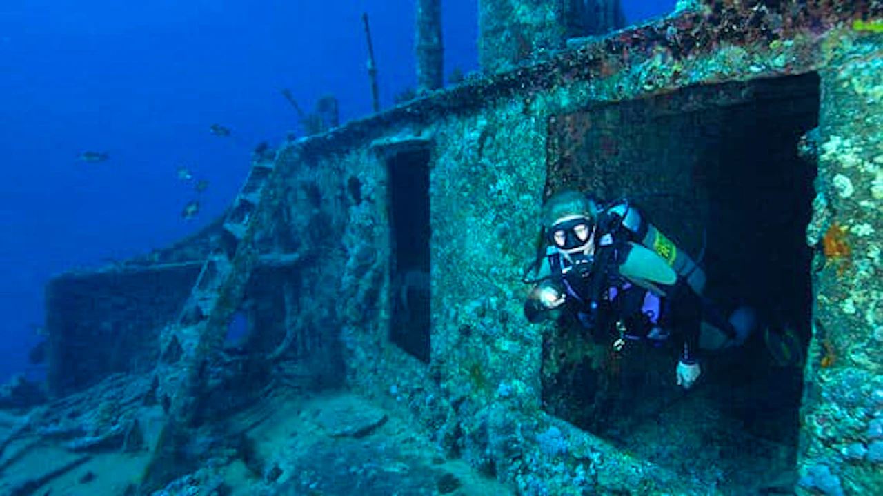 Scuba Diving Fujairah Discount
